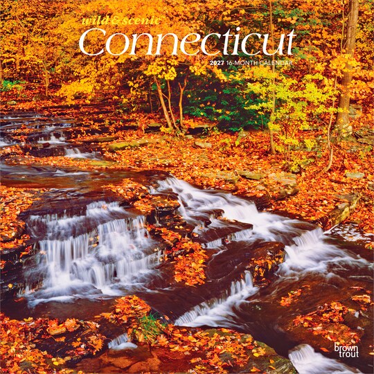 BrownTrout; Connecticut Wild & Scenic | 2027 12 x 24 Inch (Hanging) Monthly Square Wall Calendar | Plastic-Free; Category:Wall Calendars; Image:1